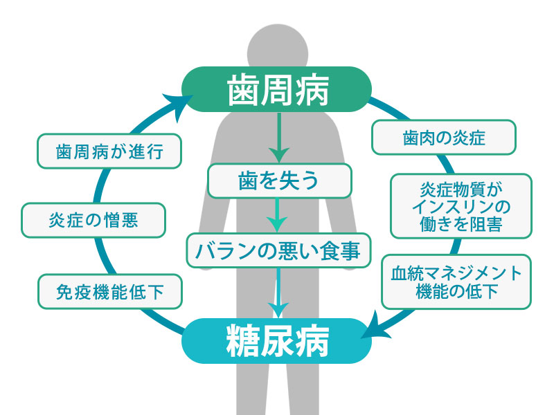 歯周病と糖尿病