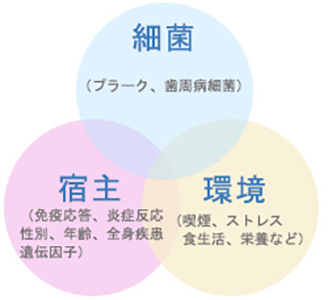 歯周病と全身疾患